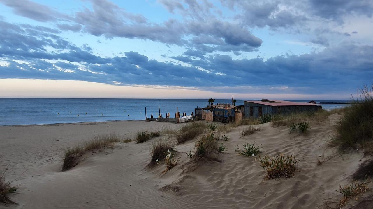 Appartement Avec Vaste Terrasse A 30 M Des Dunes 阿格德 外观 照片