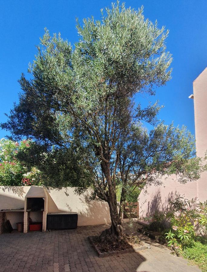Appartement Avec Vaste Terrasse A 30 M Des Dunes 阿格德 外观 照片